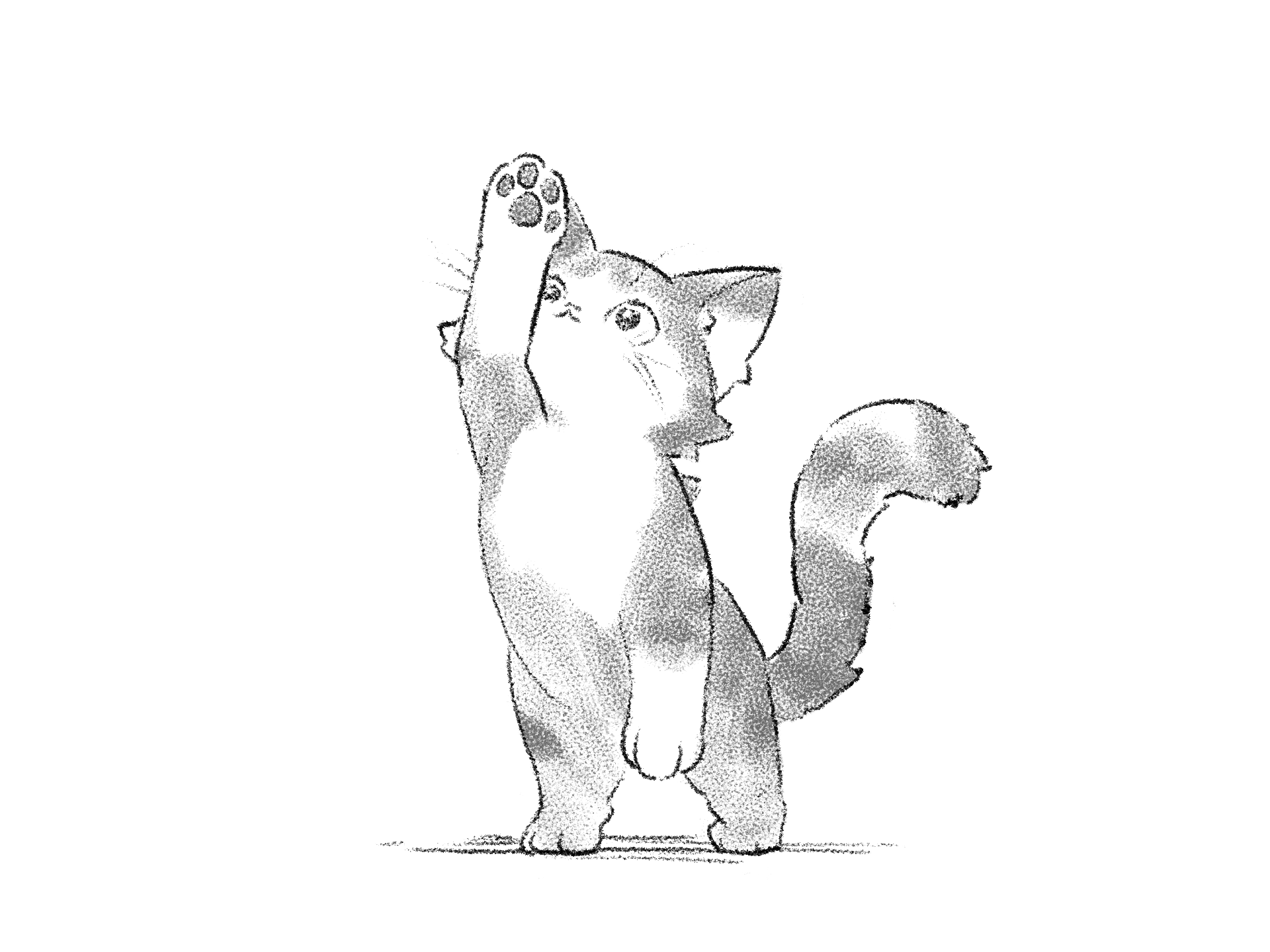 A cat, from The Cat and the Right Hook, a short story