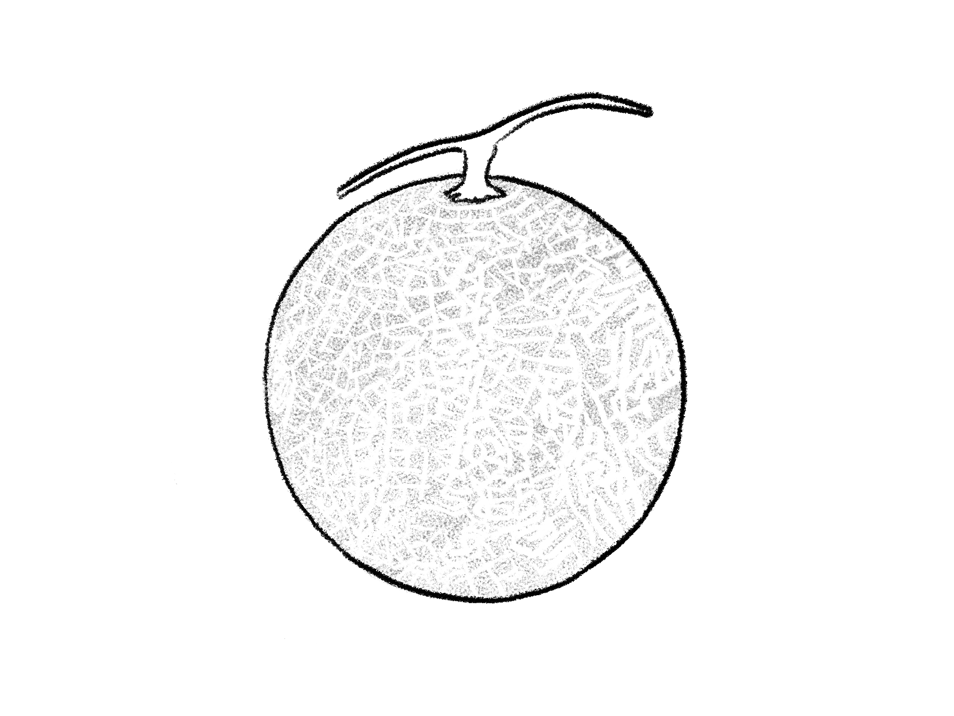 A melon, from The Melon Girl, a short story