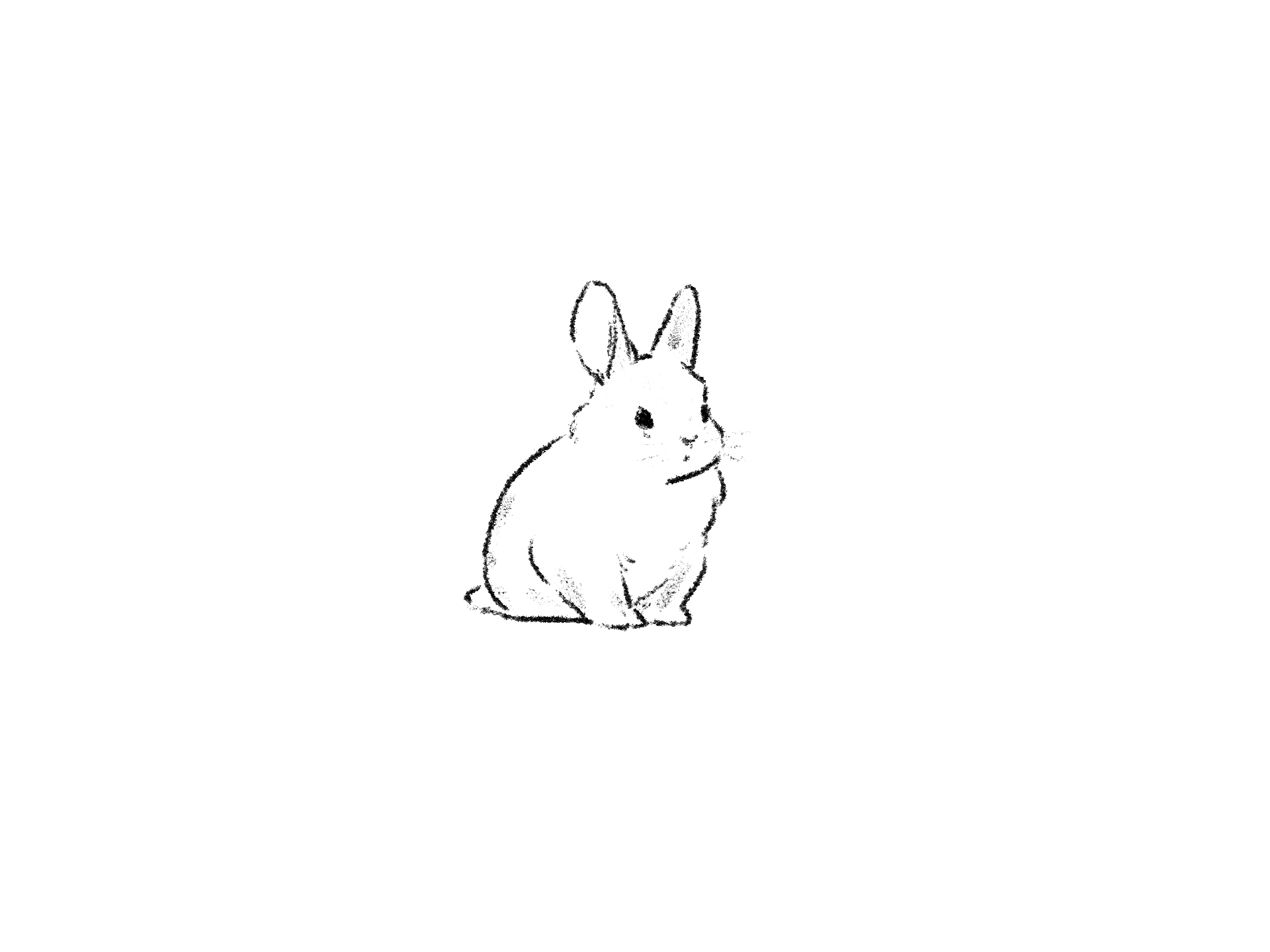 A rabbit, from Watching Rabbits, a short story