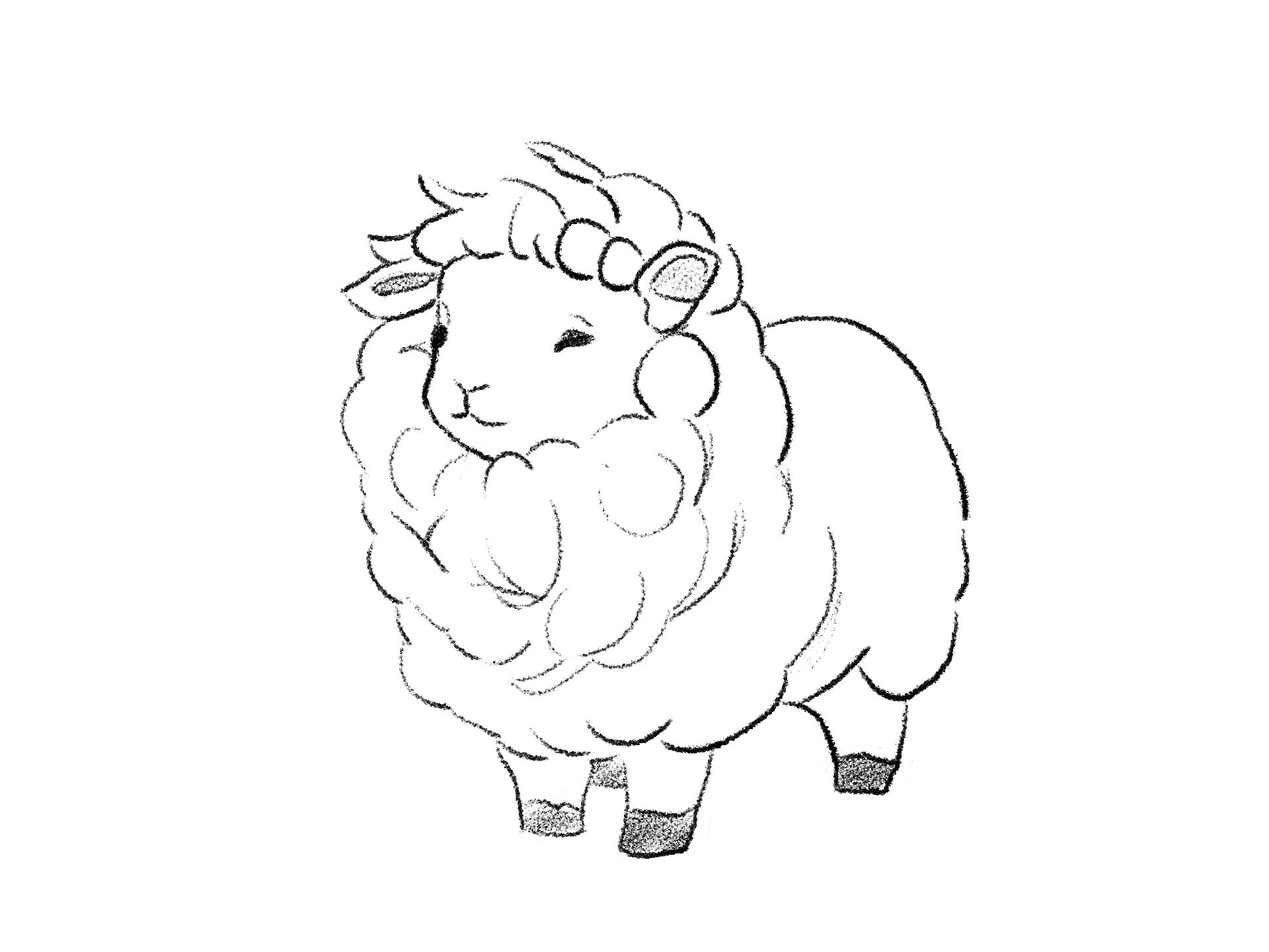 A sheep, from Select Daisies, Sheep, and the Hunter Daisies, Sheep, and the Hunter, a short story