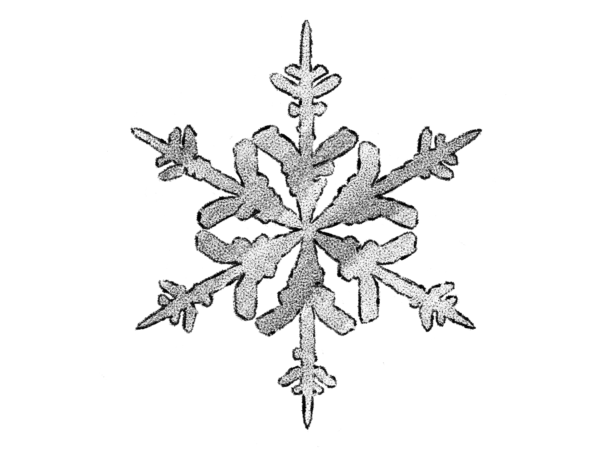 Illustration of a snowflake, from How many clouds must gather to fall such bountiful snow?, a short story